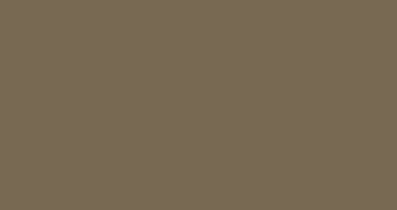 20. Bronce rep. Anodizado.