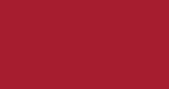 Ral. 3003